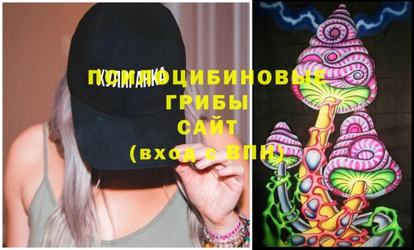 хмурый Лиски