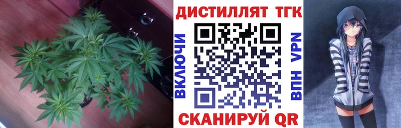 Дистиллят ТГК Wax  Купить  Светлоград 