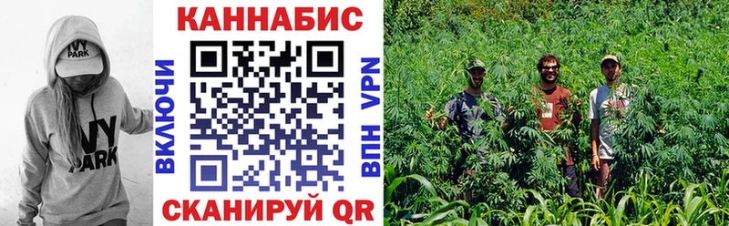 Бошки Шишки сатива  Купить закладки  Светлоград 